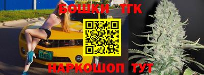 МДПВ Пугачёв