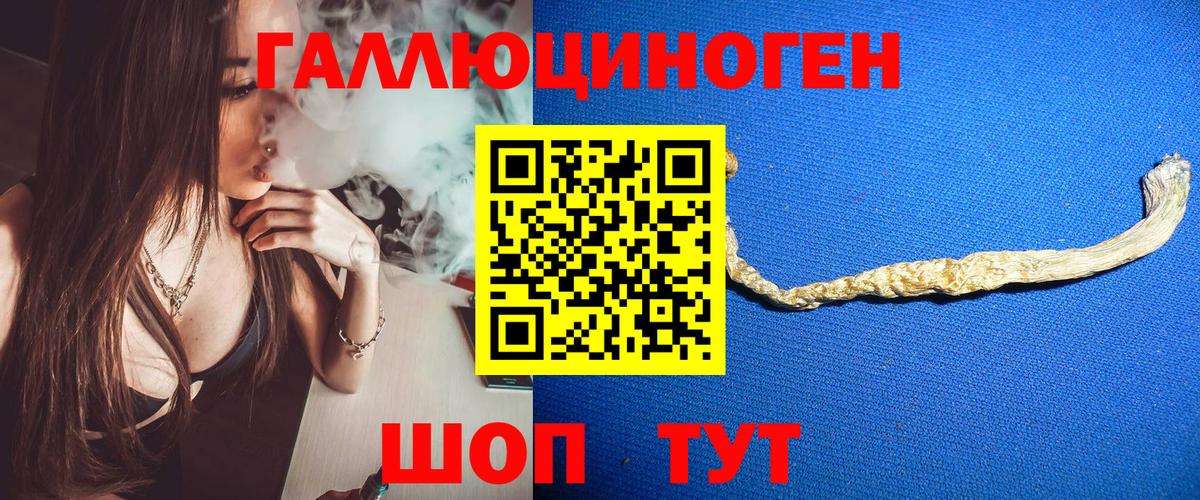 Галлюциногенные грибы прущие грибы Обь