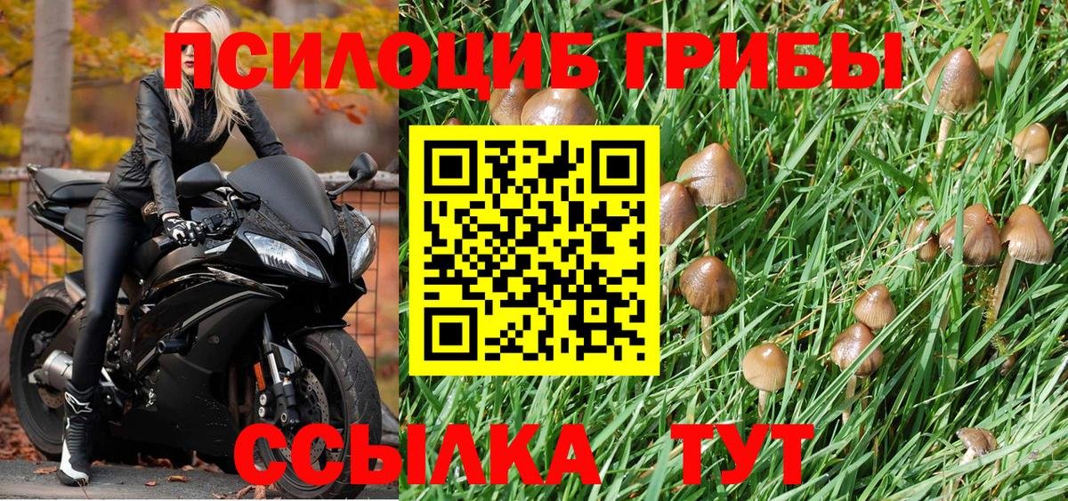 Галлюциногенные грибы мицелий  Вход с VPN  Обь  Псилоцибиновые грибы мицелий 